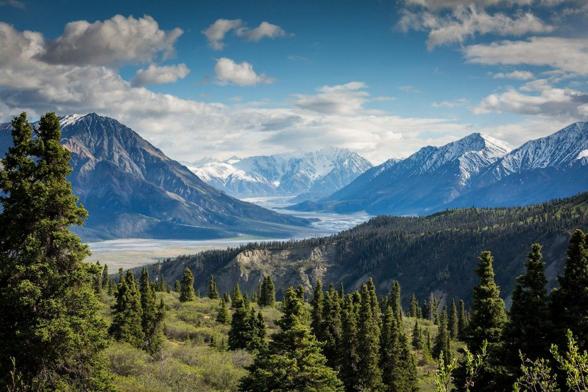 Mountain valley with evergreen forest