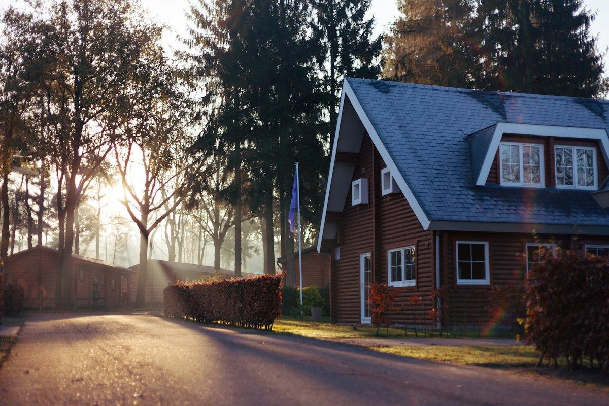 Country home in morning light beside a quiet road