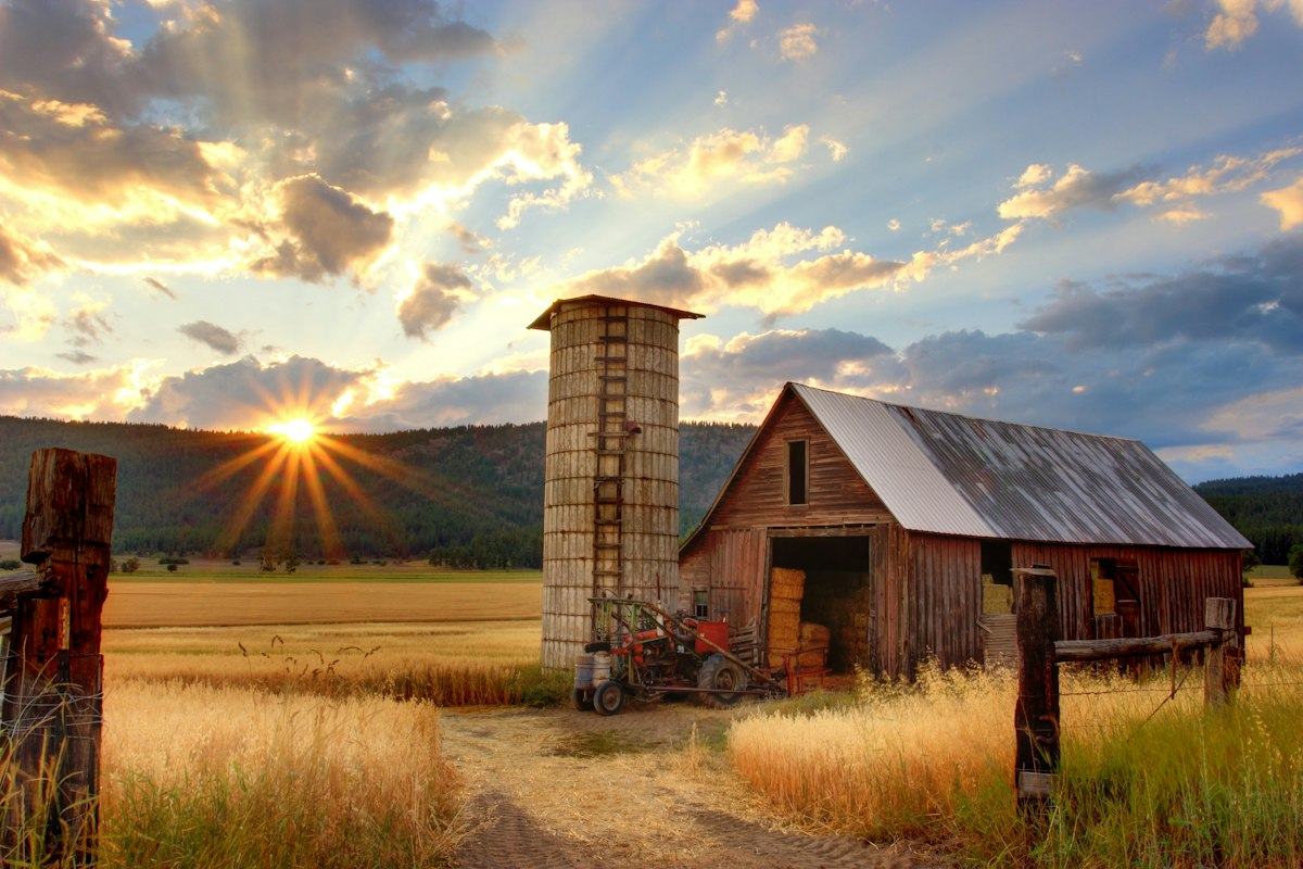 Barn and silo in a golden field at sunrise